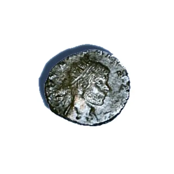 Elektrolytische Reinigung von antiken Münzen